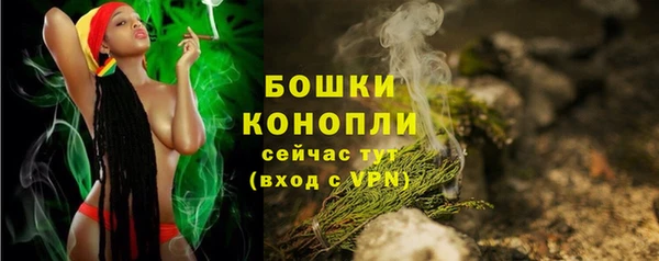 PSILOCYBIN Дмитровск