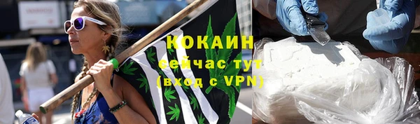 мет Дмитриев