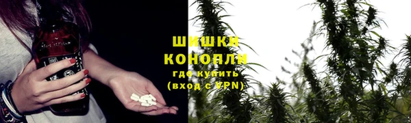 индика Дмитровск