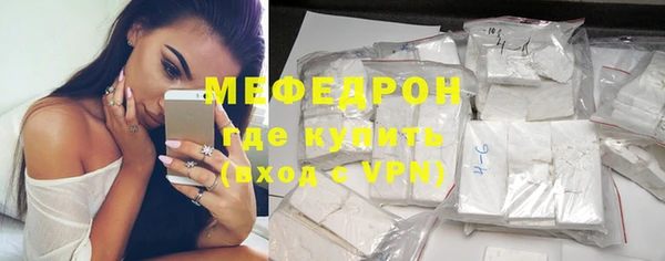 индика Дмитровск
