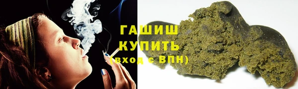 индика Дмитровск