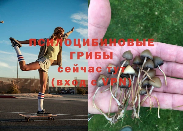 индика Дмитровск