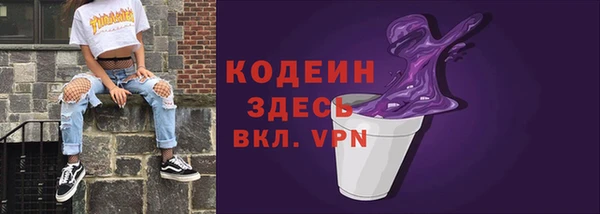 индика Дмитровск