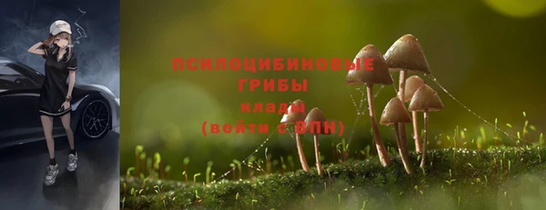 индика Дмитровск