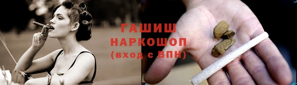 индика Дмитровск
