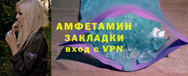 индика Дмитровск
