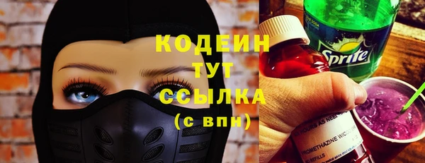 индика Дмитровск