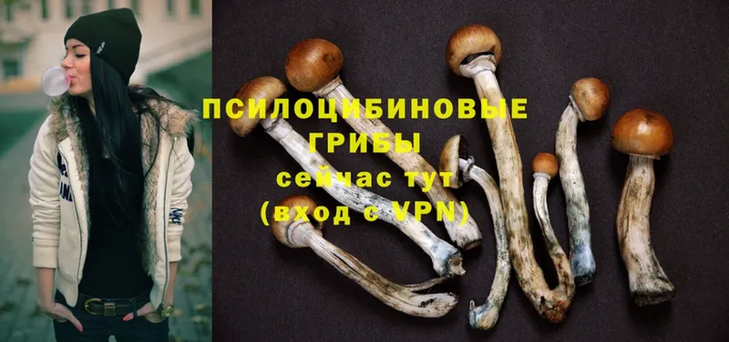 Галлюциногенные грибы Magic Shrooms  Ермолино 